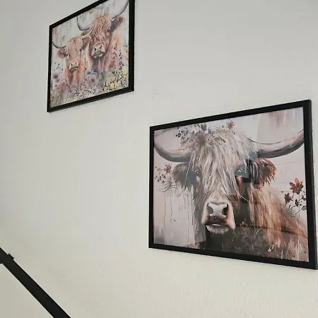 Moenchshof Апартаменты *